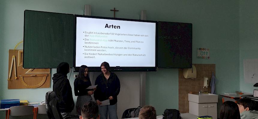 Präsentation der Erkenntnisse