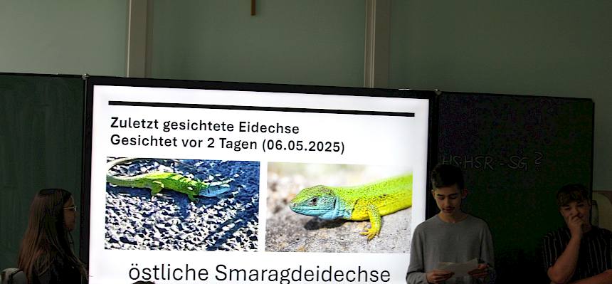 PowerPoint-Präsentation zu Reptilien in der Region