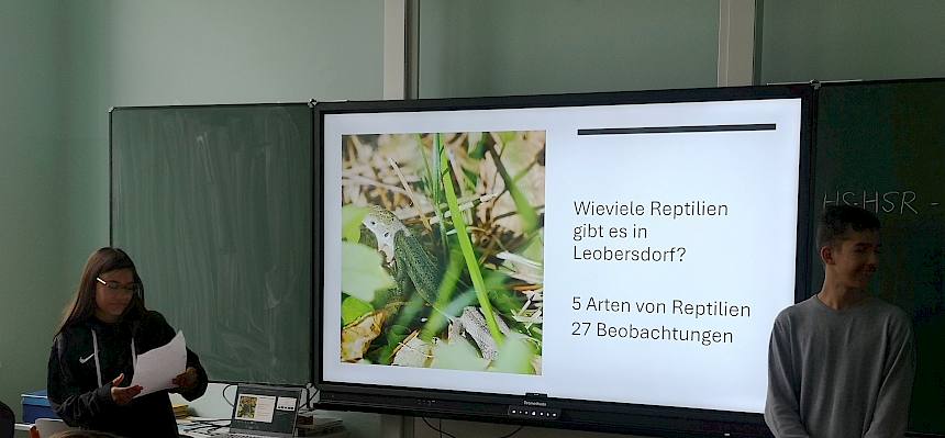 Schüler präsentieren PowerPoint-Präsentation.