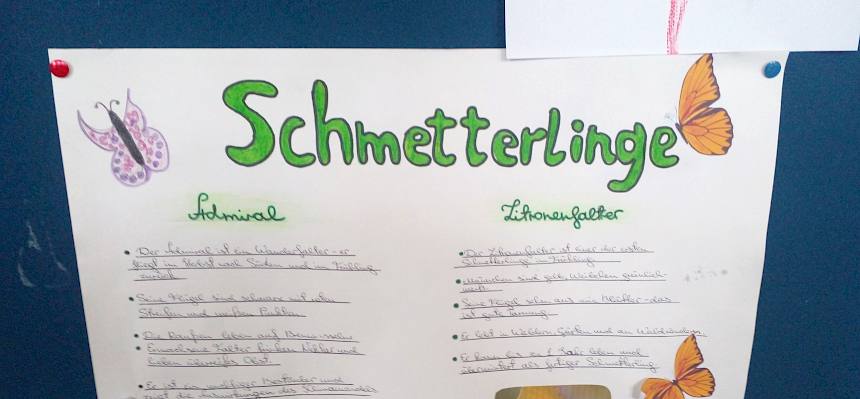 Plakat Schmetterlinge
