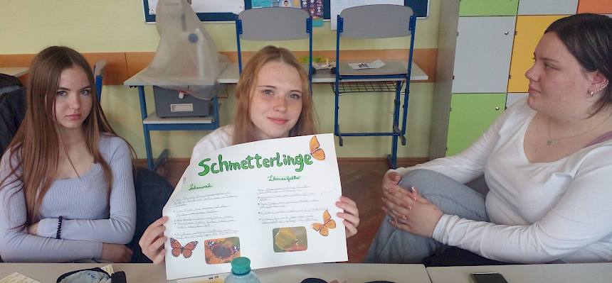 Schülerinnen mit Steckbriefen zu Schmetterlingen