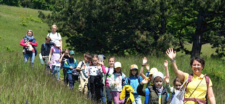 Um möglichst wenig Arten des Trockenrasens zu zertrampeln, spazieren die Klassen im Ameisengang hintereinander. © LPV/F. Litzelmann Schulklasse spaziert durch die Wiese