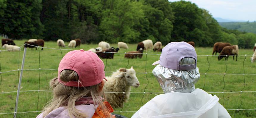 Kinder und Schafe
