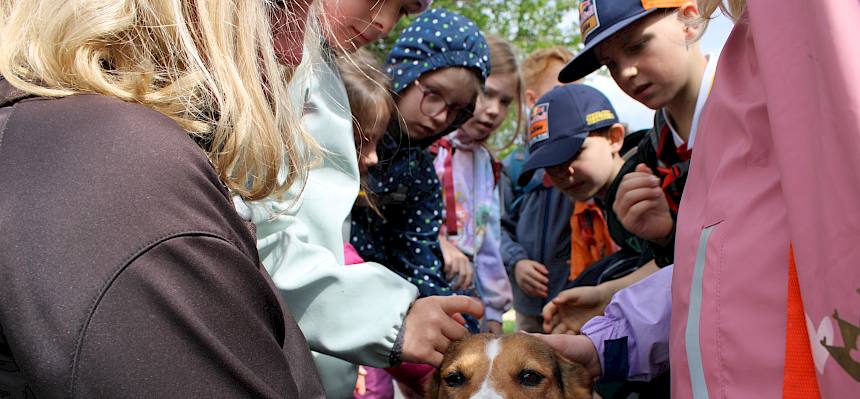Hund mit Kindern