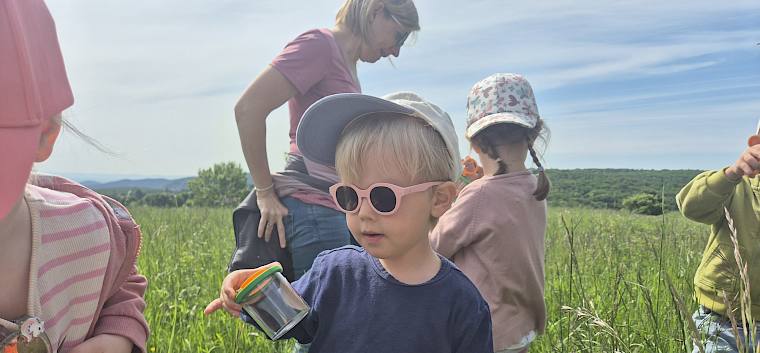 Auch die Kleinsten aus dem Kindergarten Gießhübl 2 waren mit Begeisterung auf Insektensuche. © LPV/L. Reimoser-Berger Kind mit Becherlupe