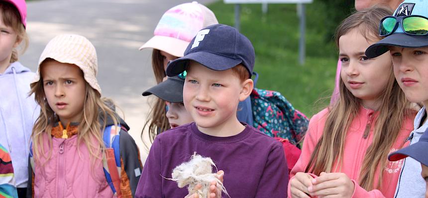 Kinder mit Schafswolle