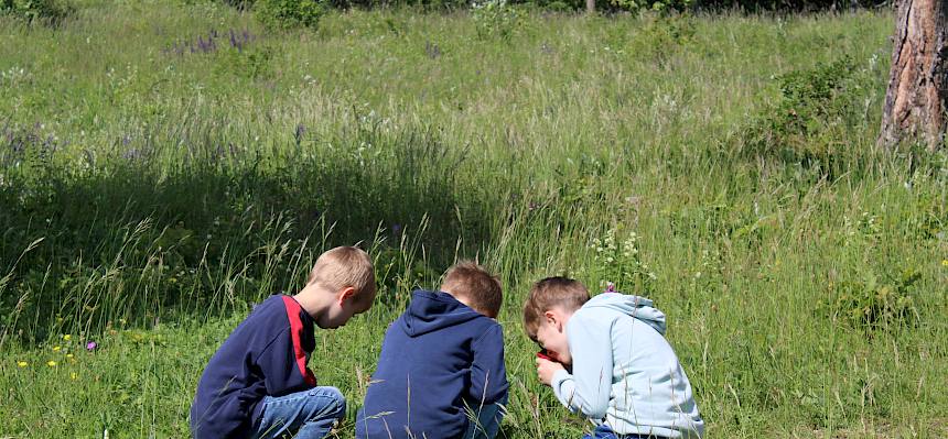Schüler bei Becherlupensuche
