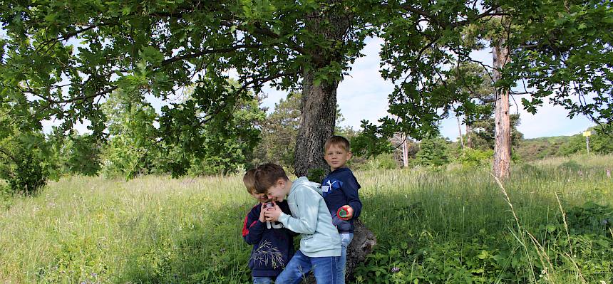 Junge Naturforscher bei der Becherlupensuche