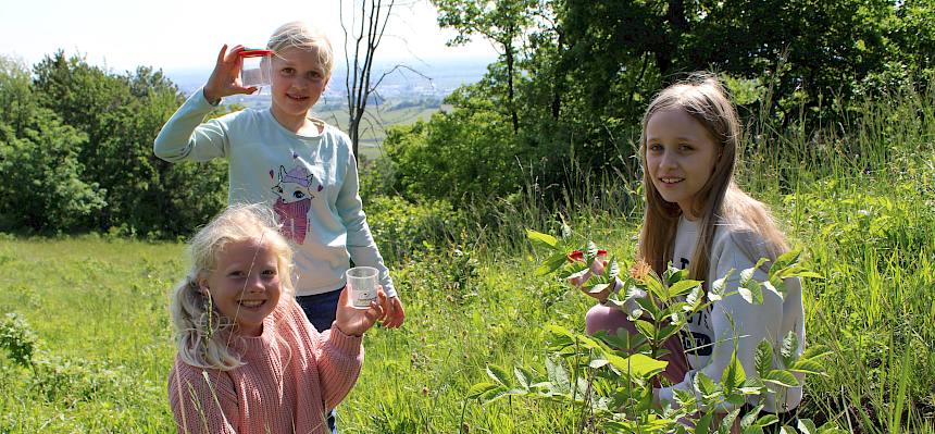 Schülerinnen erforschen Trockenrasen mit Becherlupen