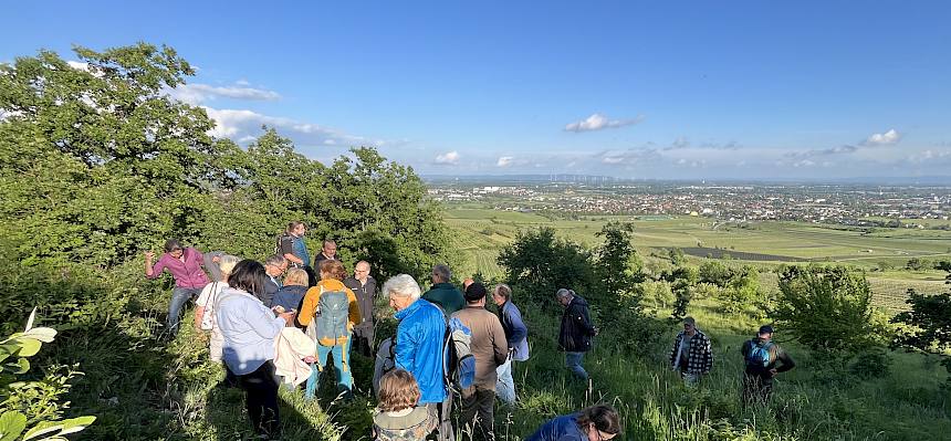Menschen am Hang in der Natur