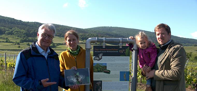 Bgm. Christoph Kainz, GR Rainer Anhammer (beide Gemeinde Pfaffstätten) und Irene Drozdowski (Obfrau LPV) freuen sich über die neue Infotafel zum Schutzprojekt für den Osterluzeifalter (Zerynthia polyxena). © LPV/H. Spitzauer Menschen stehen bei Tafel über Osterluzeifalter