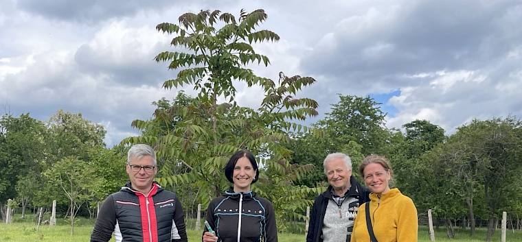 Die versierten Kletterer können die erlernte Bekämpfungsmethode in naher Zukunft selbst im Naturpark Föhrenberge einsetzen. © LPV/A. Lembke Menschen mit Werkzeug