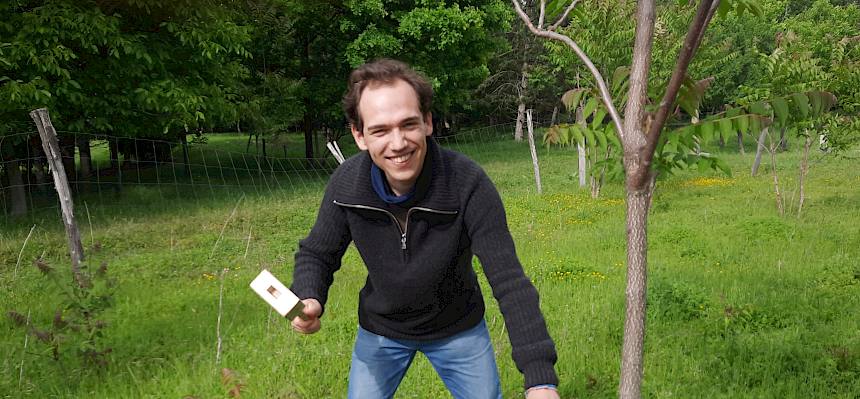 Person schlägt Hohleisen in Baum