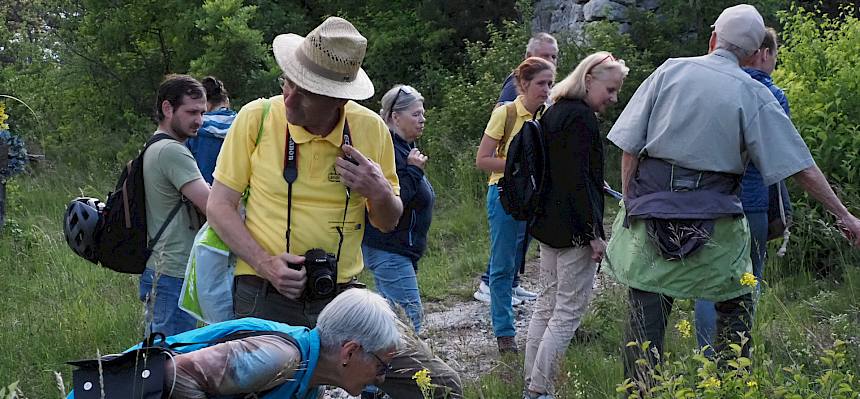 Menschen betrachten Pflanzen