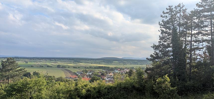 Ausblick