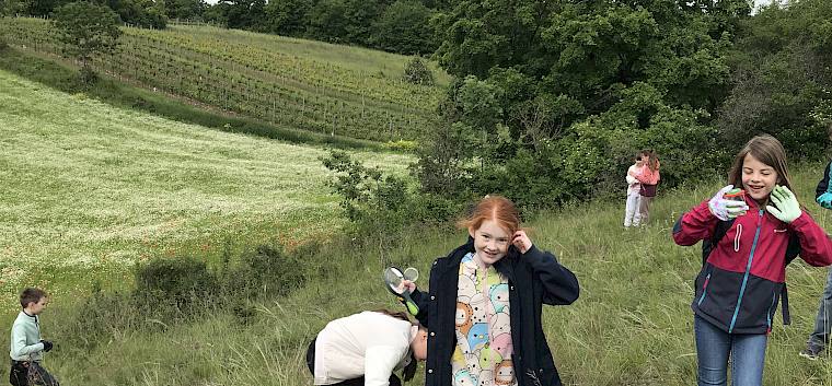 "Raus aus dem Klassenzimmer  - hinein in die Natur!", hieß es heute für die Schüler:innen der VS Leobersdorf. © LPV/N. Lintner Kinder in der Natur mit Becherlupen