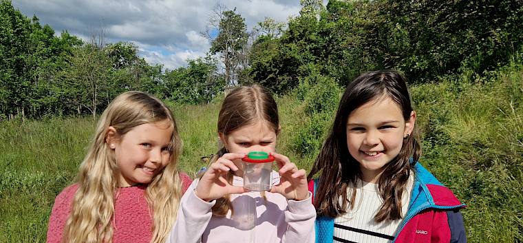 Ausgerüstet mit Becherlupen wurden viele spannende Tiere entdeckt. © LPV/B. Sabek Schülerinnen mit Becherlupe