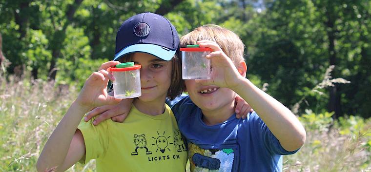 Nach ihrer großartigen Mithilfe bei der Trockenrasenpflege im Herbst erforschten die Schüler:innen der 1b der VS Pfaffstätten nun spannenden Tiere und Pflanzen dieses wertvollen Lebensraums. © LPV/F. Hohn Schüler:innen mit Becherlupe