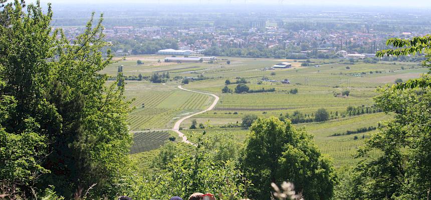 Schüler:innen auf Trockenrasen mit Blick in Landschaft