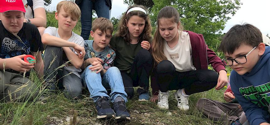 Schüler:innen mit Becherlupen
