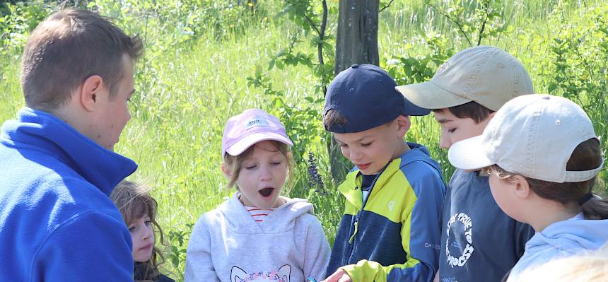 Kinder schauen erstaunt