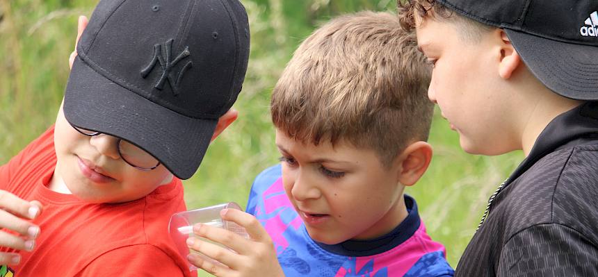 Kinder schauen sich Becherlupe an