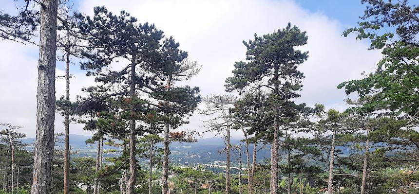 Jausenpause mit Ausblick