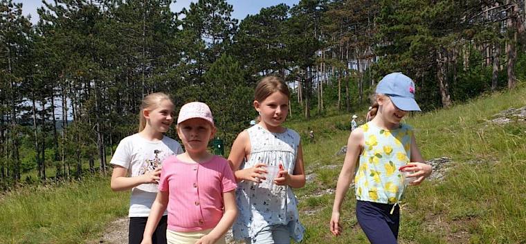 Es ist soweit: für die jungen Forscher:innen geht es los auf Insektensuche. © LPV/S. Linhart KInder auf Insektensuche