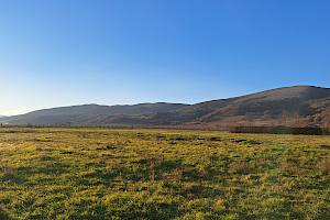Steinfeld-Schulgarten der biologischen Vielfalt Stand Frühjahr 2025 vor Beginn des Projektes. © Maria von Balthazar Wiesenfläche
