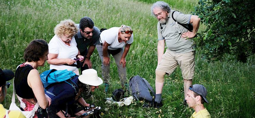 Menschen betrachten Biologen