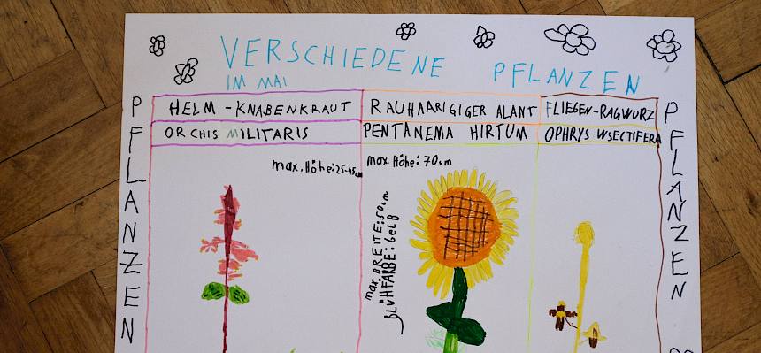 Zeichnungen von Pflanzen