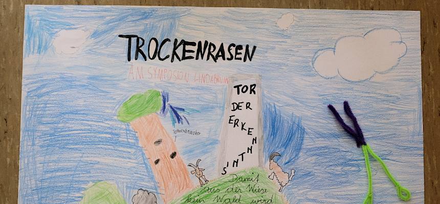 Zeichnung von Trockenrasen