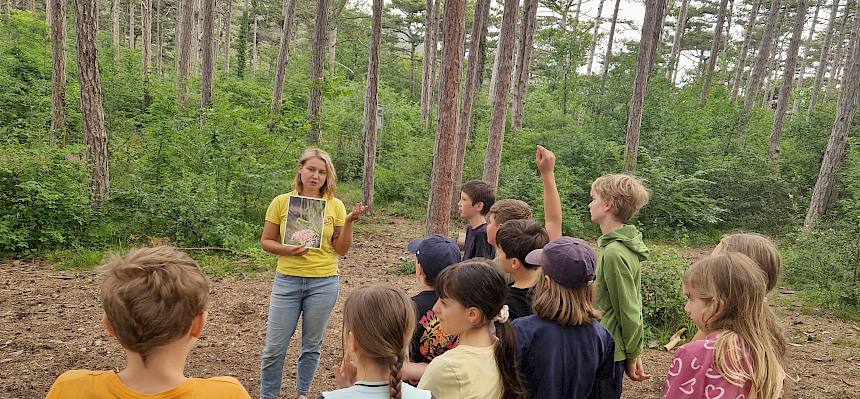 Frau zeigt Kindern Bild von Gottesanbeterin