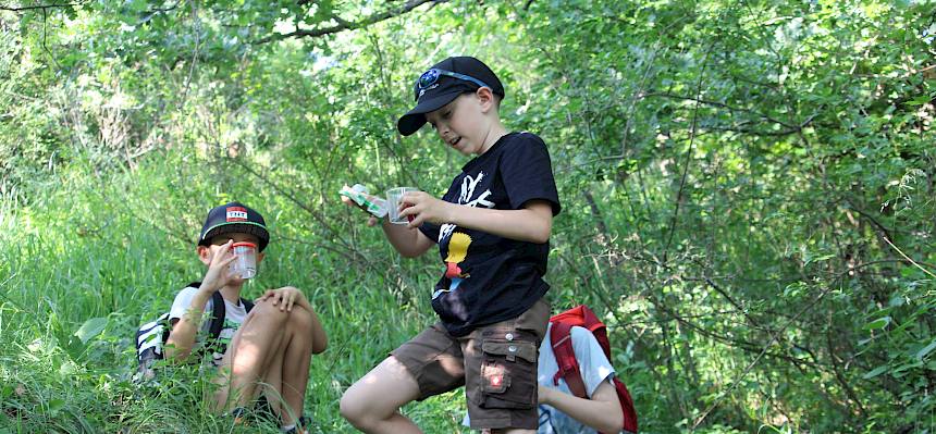 Kinder mit Becherlupe