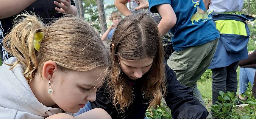 Kinder mit Becherlupen