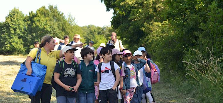 Gemeinsam mit unseren erfahrenen Naturpädagog:innen entdecken die Schüler:innen im Rahmen des Programms „My Nature Floridsdorf" Lösshohlwege, Trockenrasen und artenreiche Wiesen am Bisamberg. © LPV/F. Litzelmann Naturpädagogin zeigt Klasse Naturbesonderheiten