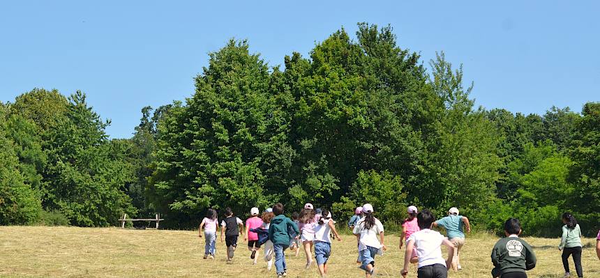 Laufspiel