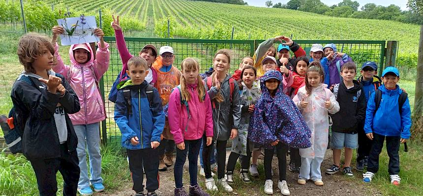 Klassenfoto GTVS Rittingergasse, 3b