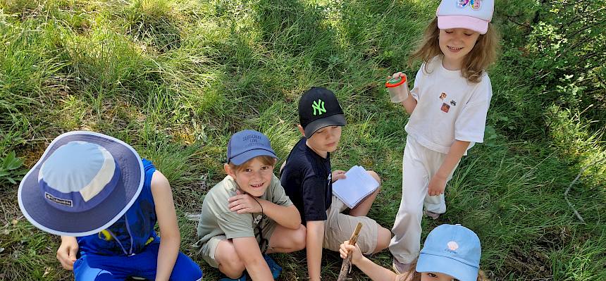 Kinder mit Hauswurz