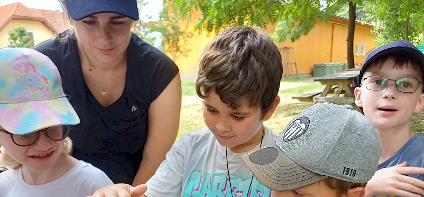 Kinder berühren Blindschleiche