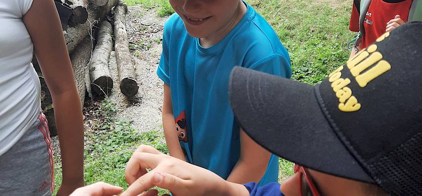Kinder berühren Erdkröte