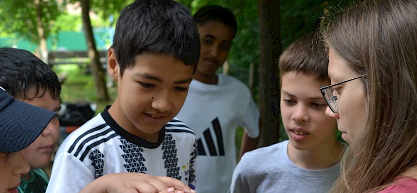 Kinder berühren Blindschleiche