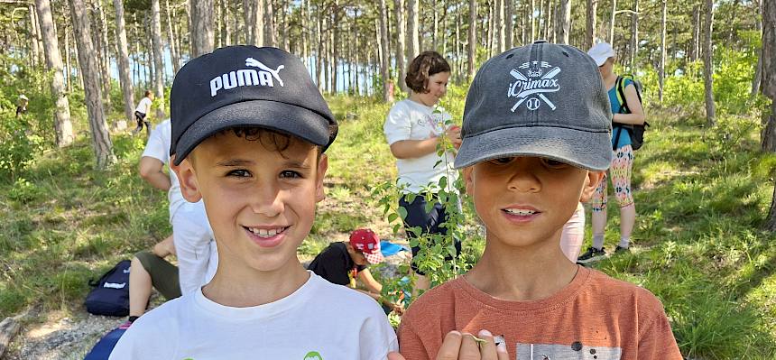 Kinder mit kleiner Gottesanbeterin