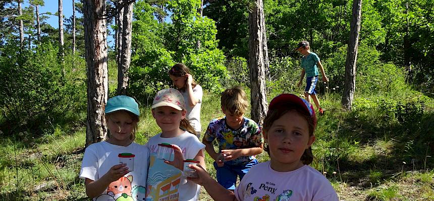 Kinder mit Becherlupen