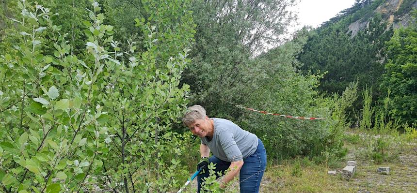 Frau schneidet Gehölz