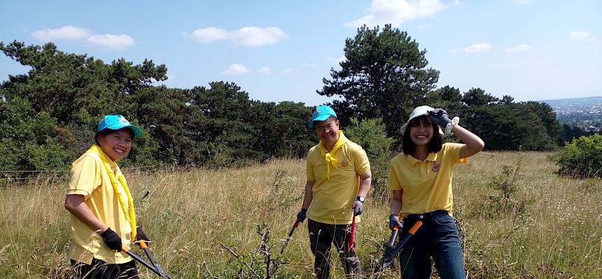Volunteers bei der Arbeit