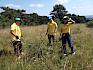 Ausgerüstet mit Astscheren, Sägen und Krampen befreiten die Volunteers wertvolle Trockenrasenflächen von aufkommendem Gehölzbewuchs. © LPV/N. Elek Volunteers bei der Arbeit