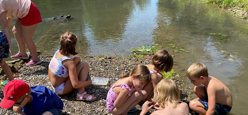Kinder entdecken Gewässertiere