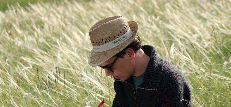 Ich habe unheimlich viel gelernt - nicht nur nebenbei, sondern auch bei zahlreichen Fortbildungen, die der LPV abgehalten hat. © LPV/F. Hohn Mann schreibt mit