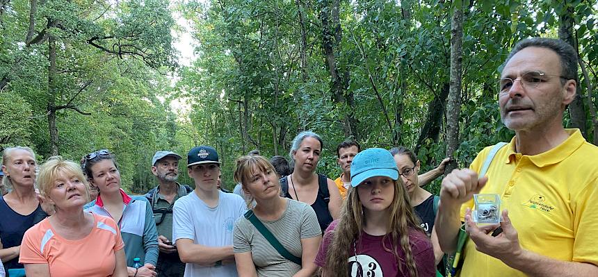 Führungsteilnehmer:innen Waldführung Perchtoldsdorf
